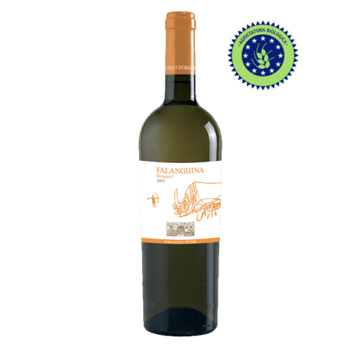 BIO FALANGHINA DEL MOLISE DOC DI MAJO NORANTE cl 75