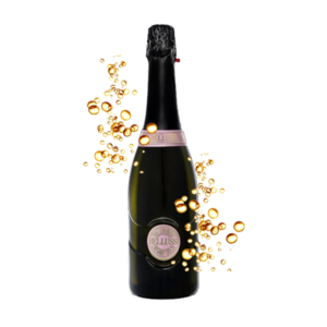 SPUMANTE MOSCATO CREMANT TRATTENENDOSI BELLUSSI