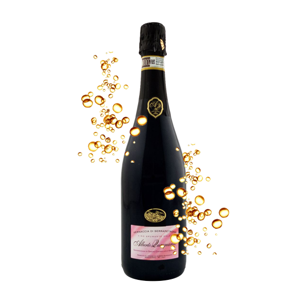 VERNACCIA DI SERRAPETRONA DOCG QUACQUARINI