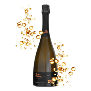 SPUMANTE FRANCIACORTA DOCG MILLESIMATO SATEN FRANCA CONTEA