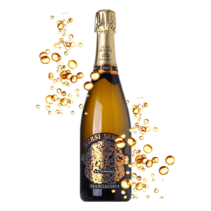 SPUMANTE FRANCIACORTA DOCG BRUT BERSI SERLINI ANTEPRIMA CL 600