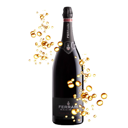 SPUMANTE TRENTO DOC BRUT MILLESIMATO FERRARI CL 600