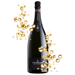 MAXIMUM BRUT TRENTO DOC FERRARI CL 150