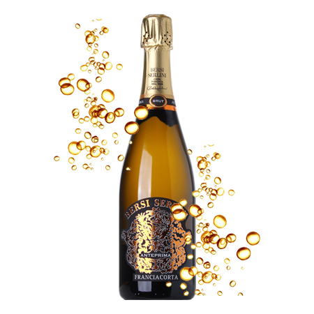 bersi-serlini-anteprima_cl