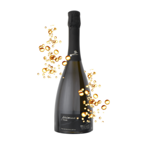 SPUMANTE FRANCIACORTA DOCG BRUT PRIMUS FRANCA CONTEA CL 150