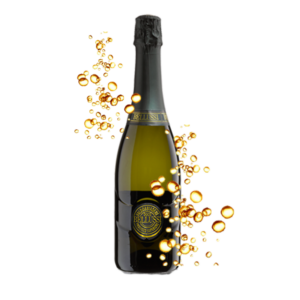 BELLUSSI PROSECCO SUPERIORE DOCG EXTRA DRY CL 150