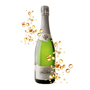 CHAMPAGNE POUGEOISE DOSAGGIO ZERO