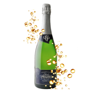 CHAMPAGNE POUGEOISE BRUT BLANC DE BLANCS MAGNUM