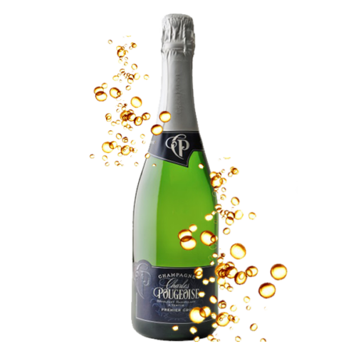 CHAMPAGNE POUGEOISE BRUT BLANC DE BLANCS MAGNUM