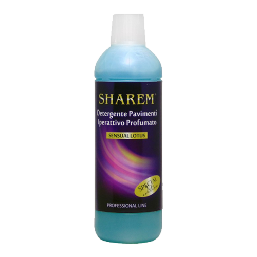 SKIZZO SHAREM LAVAPAVIMENTI