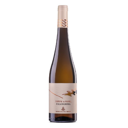 FALANGHINA DEL MOLISE DOC BORGO DI COLLOREDO cl 75