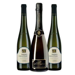 SPUMANTE MALEVENTUM cl75  +  2 BOTTIGLIE CODA DI VOLPE CANTINA DEL TABURNO cl 75 IN OMAGGIO