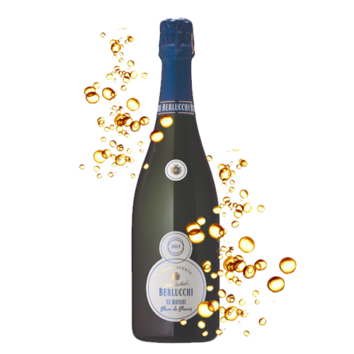 BERLUCCHI 61 FRANCIACORTE NATURE BRUT ASTUCCIATO
