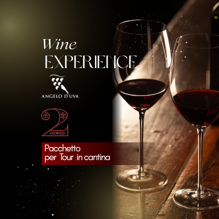 WINE EXPERIENCE di Angelo D'Uva