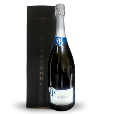 CHAMPAGNE POUGEOISE BRUT ASTUCCIO CL 150